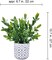 Set of 2 Artificial Potted Plants - Eucalyptus and Grass in Stylish Concrete Planters